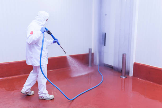 Best Paint Preparation  in Willowbrook, CA
