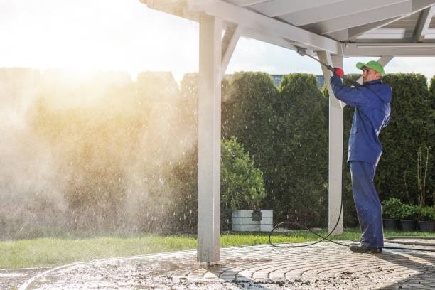 Best Gutter Cleaning  in Willowbrook, CA