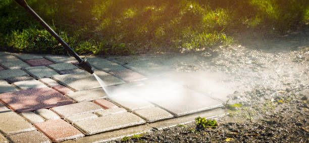 Best Soft Washing  in Willowbrook, CA